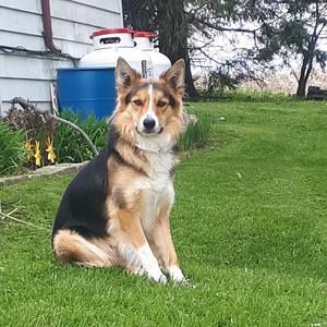 Meet your Posher, Jason